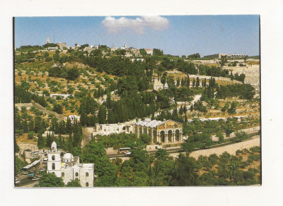 FA44-Carte Postala- ISRAEL - Jerusalem, Garden of Ghethsemane, necirculata foto