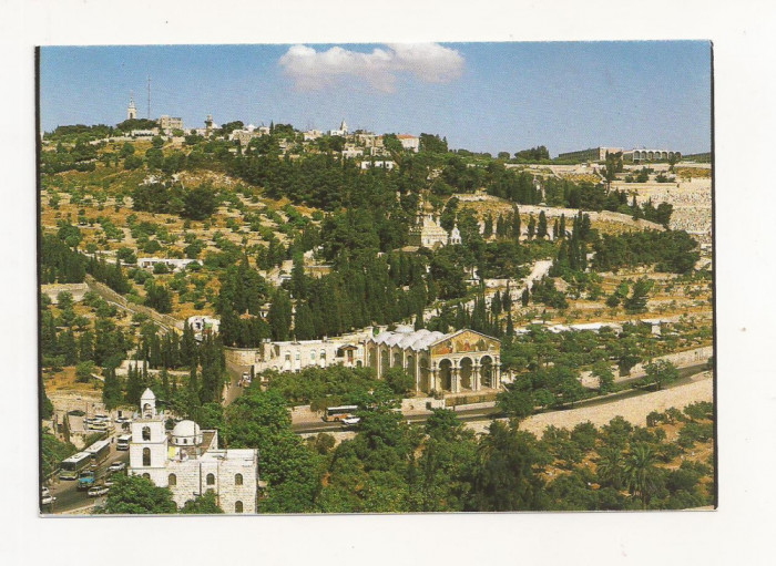 FA44-Carte Postala- ISRAEL - Jerusalem, Garden of Ghethsemane, necirculata