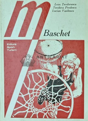Baschet - 1979 - Teodora Predescu (X113) foto