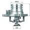 Termostat Lichid Racire 503892 DK102526