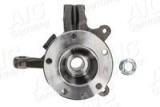 Set fuzete, suspensie roată NISSAN INTERSTAR caroserie (X70) (2002 - Prezent) AIC 75772Set