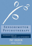 The Body as Resource: A Therapist&#039;s Manual for Sensorimotor Psychotherapy