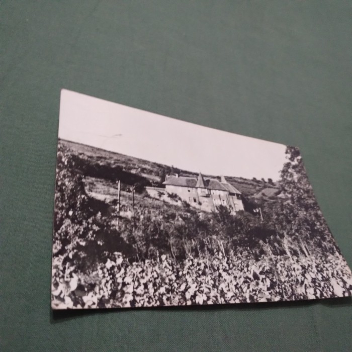 CARTE POSTALA MINIS -CABANA GHIROC CIRCULATA