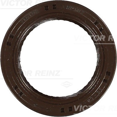 VICTOR REINZ 81-53246-00 Simering, ax cu came foto
