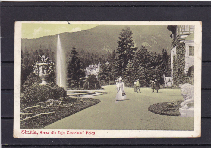 SINAIA ALEEA DIN FATA CASTELULUI PELES CIRCULATA 1912 UPU