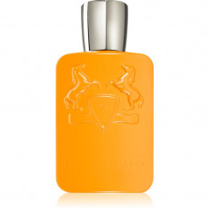 Parfums De Marly Perseus Eau de Parfum pentru bărbați 125 ml