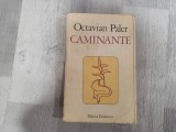 Caminante de Octavian Paler