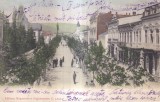 C. Lung. Bulevardul (circulata 1906)