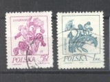 Poland 1974 Flowers, used G.288