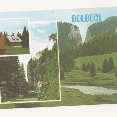 RF10 -Carte Postala- Bolboci- In Bucegi, necirculata 1976