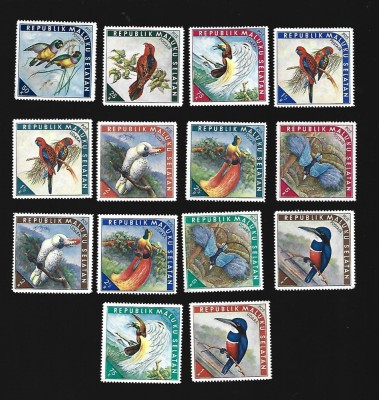maluku pasari mnh foto