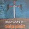 Raiul pe pamant - Joshua Muravchik