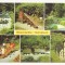SG2-Carte Postala-Germania DDR Waschleithe, Heimateck. necirculata 1989
