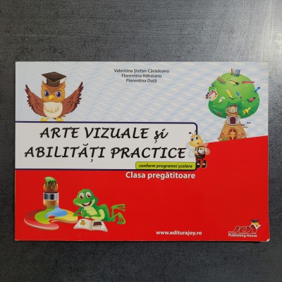 Valentina Stefan Caradeanu - Arte vizuale si abilitati practice foto