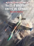Su-25 &#039;Frogfoot&#039; Units in Combat