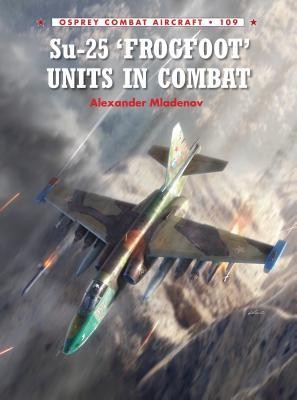 Su-25 &amp;#039;Frogfoot&amp;#039; Units in Combat foto