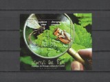 PERU 2017 FAUNA INSECTE