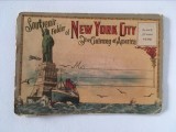 Carte postala veche acordeon Souvenir of New York City - America, plic 20 imag., Necirculata, Printata