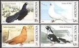 MOLDOVA 2012, Fauna, Rase de porumbei, serie neuzata, MNH