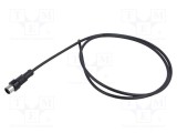 Conector M12 mufă tată drept aurit AMPHENOL -20&divide;80&deg;C