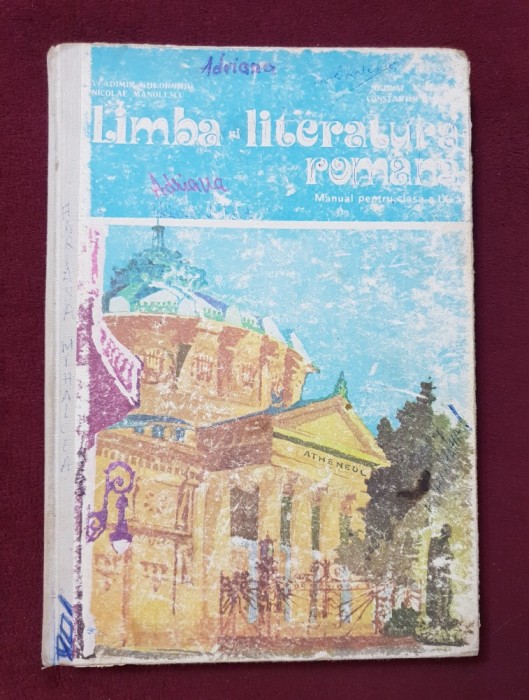 Limba și literatura rom&acirc;nă. Manual pentru clasa a IX-a - Vladimir Gheorghiu, Nicolae I. Nicolae