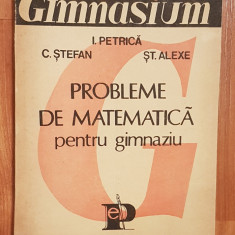 Probleme de matematica pentru gimnaziu de Ion Petrica, C. Stefan, 1991