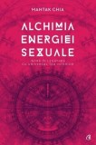 Alchimia energiei sexuale
