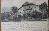 Carte postala, Hotel Sinaia, 1900