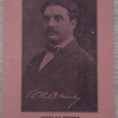 Afiș electoral NICOLAE SCHINA PREȘEDINTELE UNIUNII CETĂȚENEȘTI - anii 1920, rar