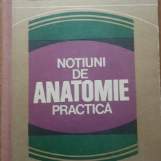 Notiuni De Anatomie Practica - N. Diaconescu, N. Rottenberg, V. Niculescu