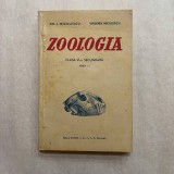 Gh. I. Niculescu - Zoologia - Clasa VI secundara - Ed. I - 1924