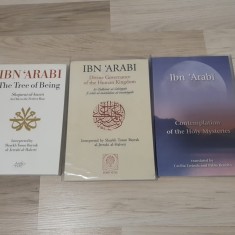 Ibn Arabi - sufi 3 carti engleza Ibn Arabi