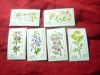 Serie DDR 1981 - Flora , 6 valori, Nestampilat