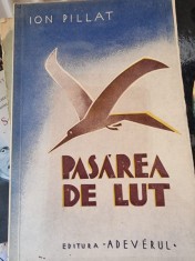 Ion Pillat - Pasarea de lut foto