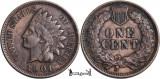 1901, 1 cent ( Indian Head Cent ) - Statele Unite ale Americii, Europa