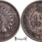 1901, 1 cent ( Indian Head Cent ) - Statele Unite ale Americii