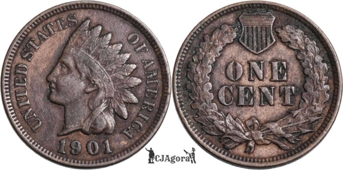 1901, 1 cent ( Indian Head Cent ) - Statele Unite ale Americii
