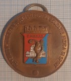 Medalie campion, sport, CMEFSB