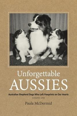 Unforgettable Aussies: Australian Shepherd Dogs Who Left Pawprints on Our Hearts foto