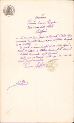 A277 Certificat de cetățenie rom&amp;acirc;nă, anii 1880, județul Vaslui foto