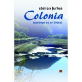 Colonia (aproape ca un blues) - Stelian Turlea