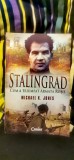 Michael K. Jones - Stalingrad. Cum a triumfat Armata Roșie