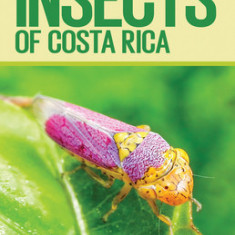 Pocket Guide to the Insects of Costa Rica