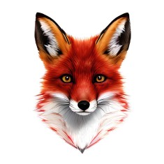 Sticker decorativ, Vulpe, Portocaliu, 86 cm, 10462ST foto