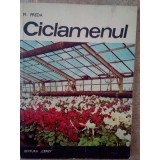 M. Preda - Ciclamenul
