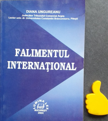 Falimentul international Diana Ungureanu foto