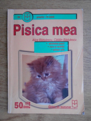 Alice Badulescu - Pisica mea foto