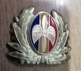 QW14 - Emblema militara / cuc - aviatie - anii 1990 - piesa de colectie