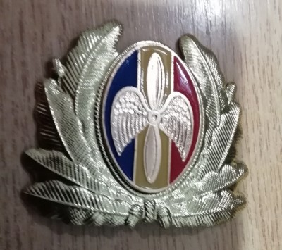 QW14 - Emblema militara / cuc - aviatie - anii 1990 - piesa de colectie foto