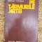 Pe țărmurile artei - Brăduț Covaliu